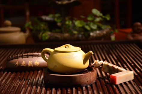 茶蒲探店：一茶一世界，揭秘喝茶养生秘密